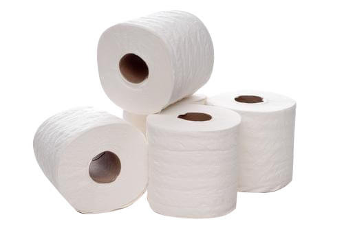 Economy Toilet Tissue Paper