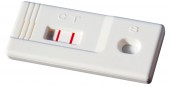Pregnancy Test Device